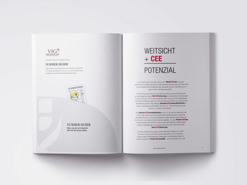 VIG Geschäftsbericht 2015 Flappe